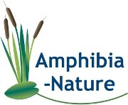 Amphibia-Nature